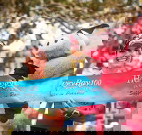 Beach House Hotel Hervey Bay 100 - Redcliffe Tourism