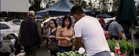 Blacktown Markets - Redcliffe Tourism 0