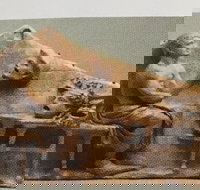 Cancelled  ADFAS Lecture - Giles Ramsay speaking about Aeschylus A Soldier in Society - Redcliffe Tourism