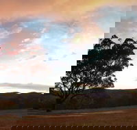 Christmas in July Jumpers and Jazz - Redcliffe Tourism