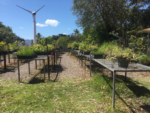 Conservation Volunteers Australia Townsville - Ocean View Nursery - Redcliffe Tourism 0