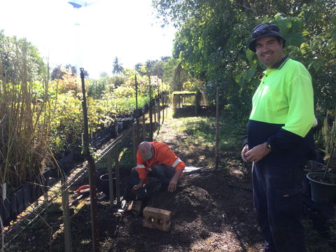 Conservation Volunteers Australia Townsville - Ocean View Nursery - Redcliffe Tourism 1