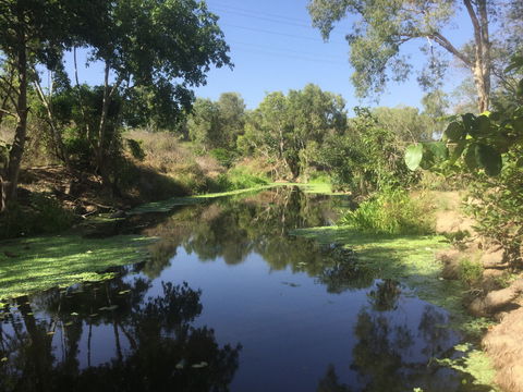 Conservation Volunteers Australia Townsville - Creekwatch - Redcliffe Tourism 0