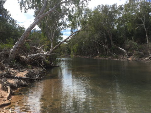Conservation Volunteers Australia Townsville - Creekwatch - Redcliffe Tourism 2