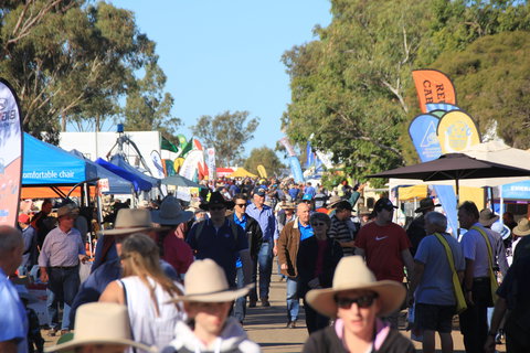 CRT FarmFest - Redcliffe Tourism 1