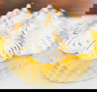 Dessert Making Class - Redcliffe Tourism