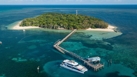 Great Adventures Green Island Ocean Swim - Redcliffe Tourism 0