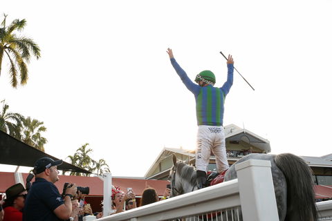 Great Northern Darwin Cup Carnival - Redcliffe Tourism 1
