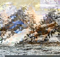 Gundagai Rodeo - Redcliffe Tourism
