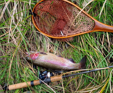 Guyra TroutFest - Redcliffe Tourism 0