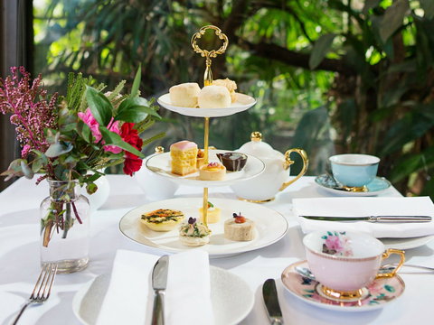 High Tea At Melbourne Zoo - Redcliffe Tourism 0