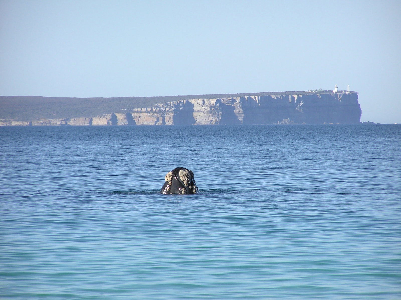 Huskisson NSW Redcliffe Tourism