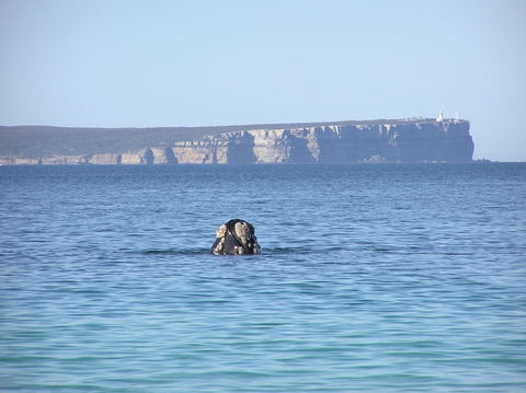 Jervis Bay's Sydney To Hobart Experience - Redcliffe Tourism 0