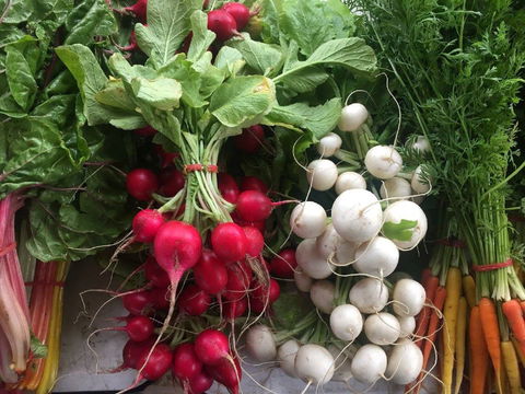 Joondalup Growers Market - Redcliffe Tourism 1