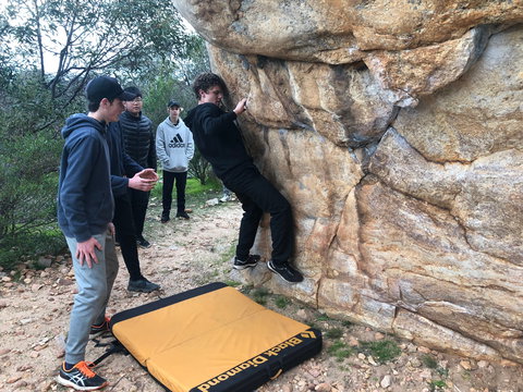 July 2020 Holidays- Forest Adventures Treasure Hunt - Redcliffe Tourism 1