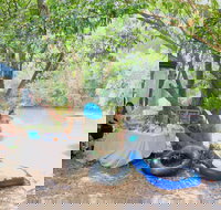 Jungle Love Festival - Redcliffe Tourism