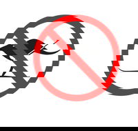 Kangaroo Hoppet - Redcliffe Tourism