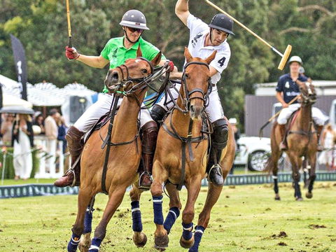 Land Rover Polo In The City - Redcliffe Tourism 0