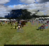 Majors Creek Festival - Redcliffe Tourism