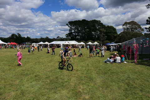 Majors Creek Festival - Redcliffe Tourism 0