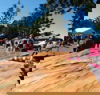 Maleny Wood Expo From Seed to Fine Furniture - Redcliffe Tourism