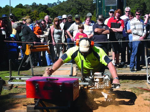 Maleny Wood Expo: From Seed To Fine Furniture - Redcliffe Tourism 2