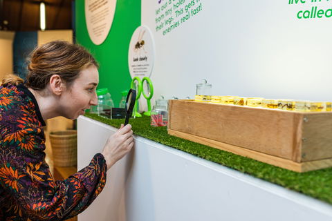 Minibeasts - Redcliffe Tourism 0