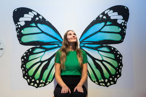 Minibeasts - Redcliffe Tourism 1