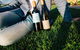 New Years Day -  Dine In The Vines With Music At Contentious Character - thumb 2
