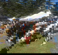 Palm Beach Market - Redcliffe Tourism