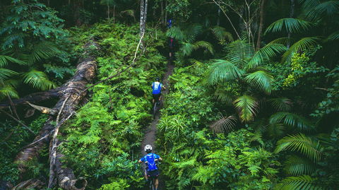 Reef To Reef - Redcliffe Tourism 7