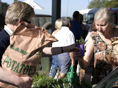 Sale  Producers Market - Redcliffe Tourism 0