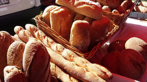 South Geelong Farmers Market - Redcliffe Tourism 2