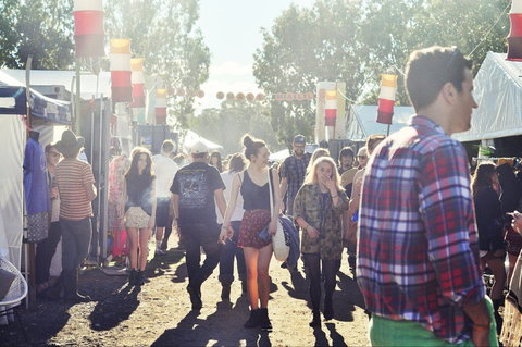 Splendour In The Grass - Redcliffe Tourism 1