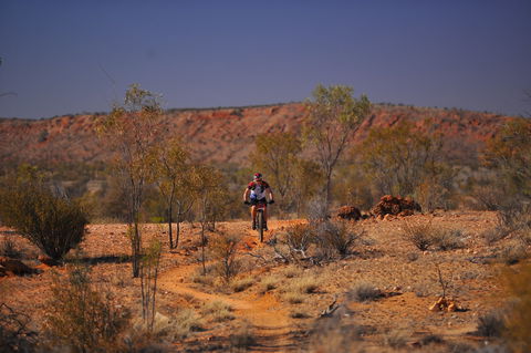 The Redback - Redcliffe Tourism 2