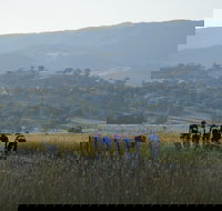 Tumut Cycle Classic - Redcliffe Tourism