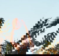 Wagga Social Netball - Redcliffe Tourism