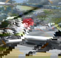 Wings Over Illawarra - Redcliffe Tourism