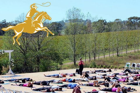 Yoga In The Vines - Redcliffe Tourism 0