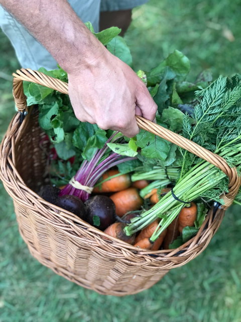 Orange Farmers Market - Redcliffe Tourism 0