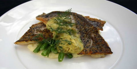 Aquarius Seafood Restaurant - Redcliffe Tourism 2