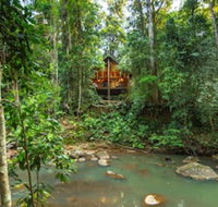 The Canopy Rainforest Treehouses and Wildlife Sanctuary - Redcliffe Tourism