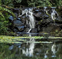 Kondalilla Eco Resort - Redcliffe Tourism