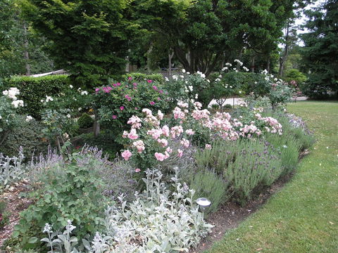 Silvermere - Redcliffe Tourism 4