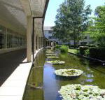 ANU University House Hotel - Redcliffe Tourism