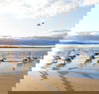 El Paso Motor Inn - Redcliffe Tourism