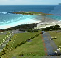 Diamond Island Resort  Bicheno Penguin Show - Redcliffe Tourism