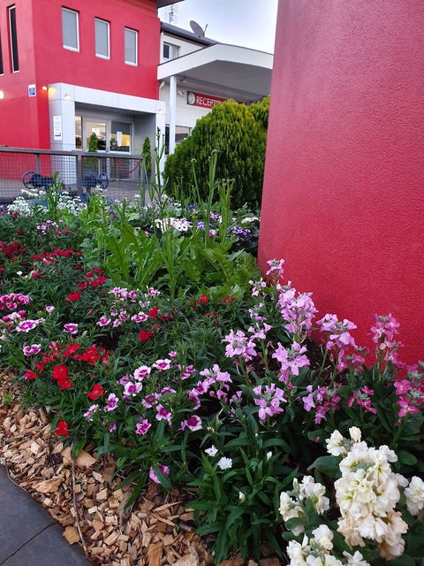 City Golf Club Motel - Redcliffe Tourism 2