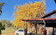 Acheron Valley Country Estate - thumb 3