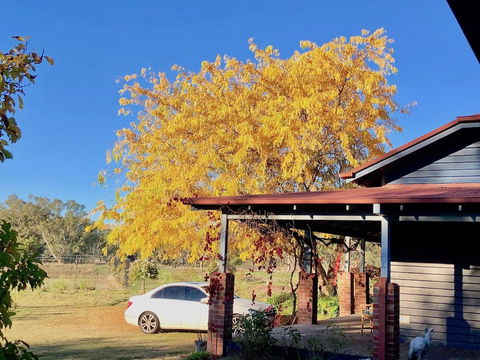 Acheron Valley Country Estate - Redcliffe Tourism 3